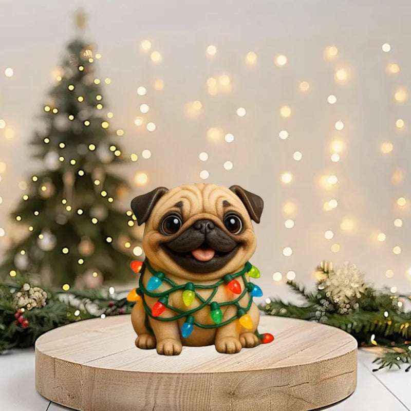 🐾🎄 Calendrier de l'Avent amusant Carlin 2025