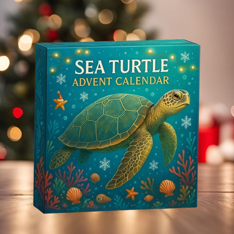 🌊🐢 Calendrier de l'Avent Tortue de mer 2025