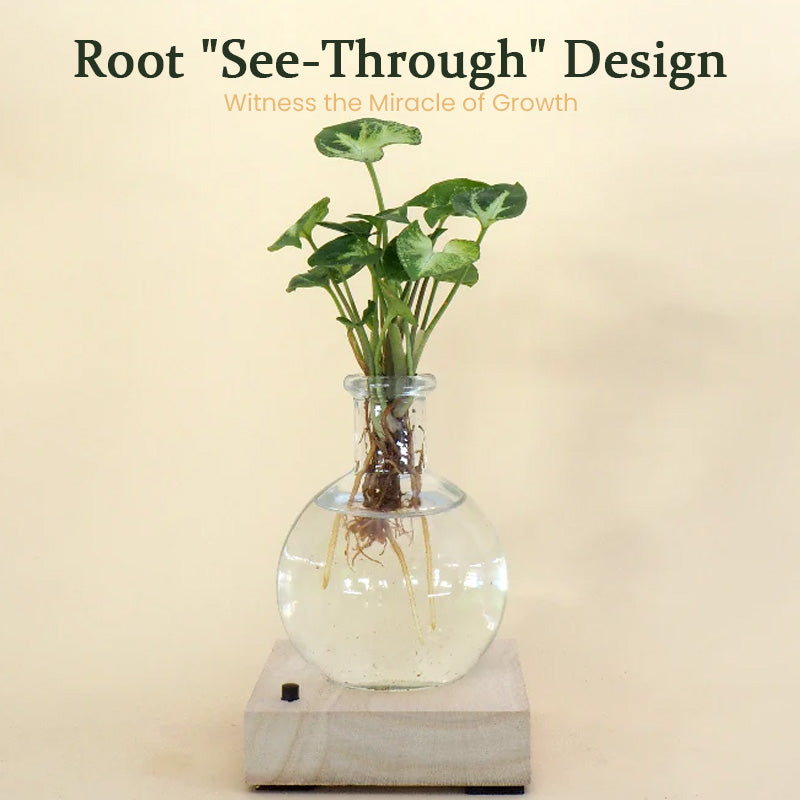 LED Hydroponic Plant Vase（The set includes 1 LED base + 1 vase）