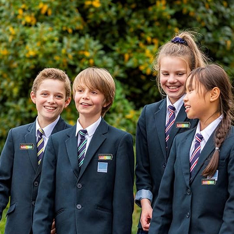 Mood Transformation Energy Brooch